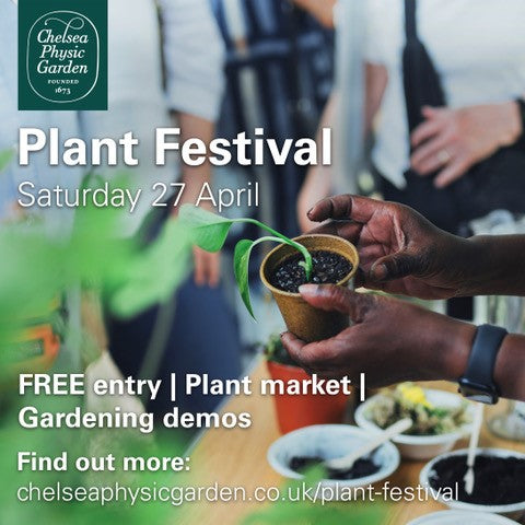 Plant Festival Saturday 27th April