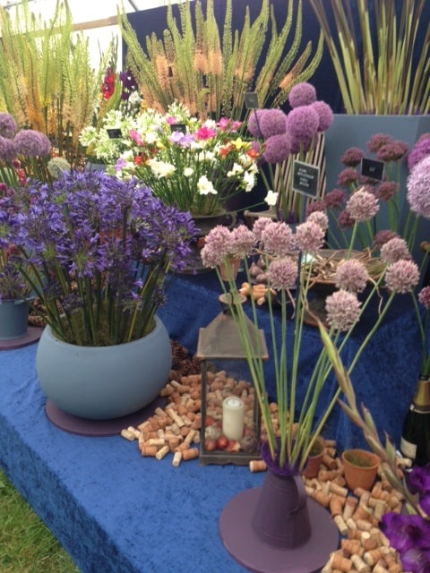 New Forest and Hampshire County Show