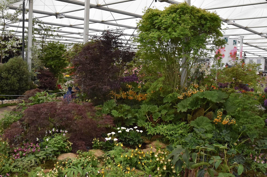 RHS Chelsea Show