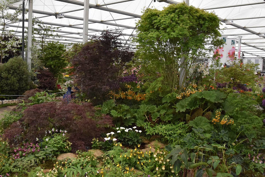 RHS Chelsea Show
