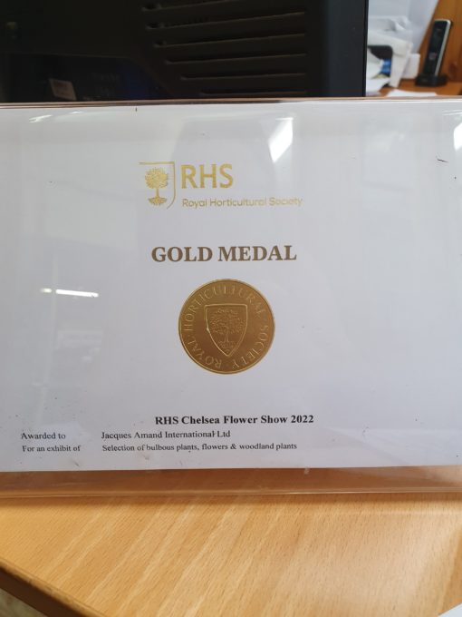 34th Gold Medal at Chelsea