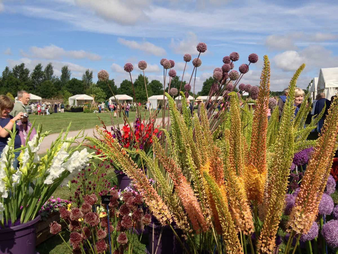 RHS Garden Hyde Hall Flower Show