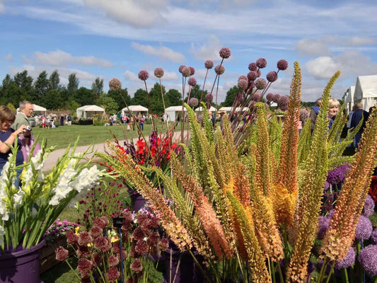 RHS Garden Hyde Hall Flower Show