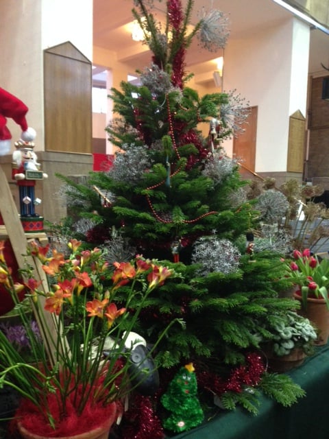 RHS London Christmas Show