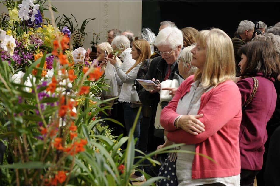 RHS London Plant Extravaganza & Orchid Show