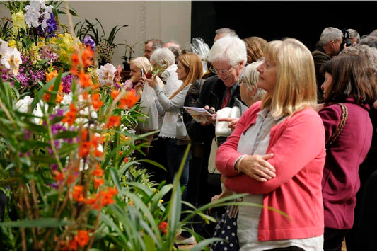 RHS London Plant Extravaganza & Orchid Show