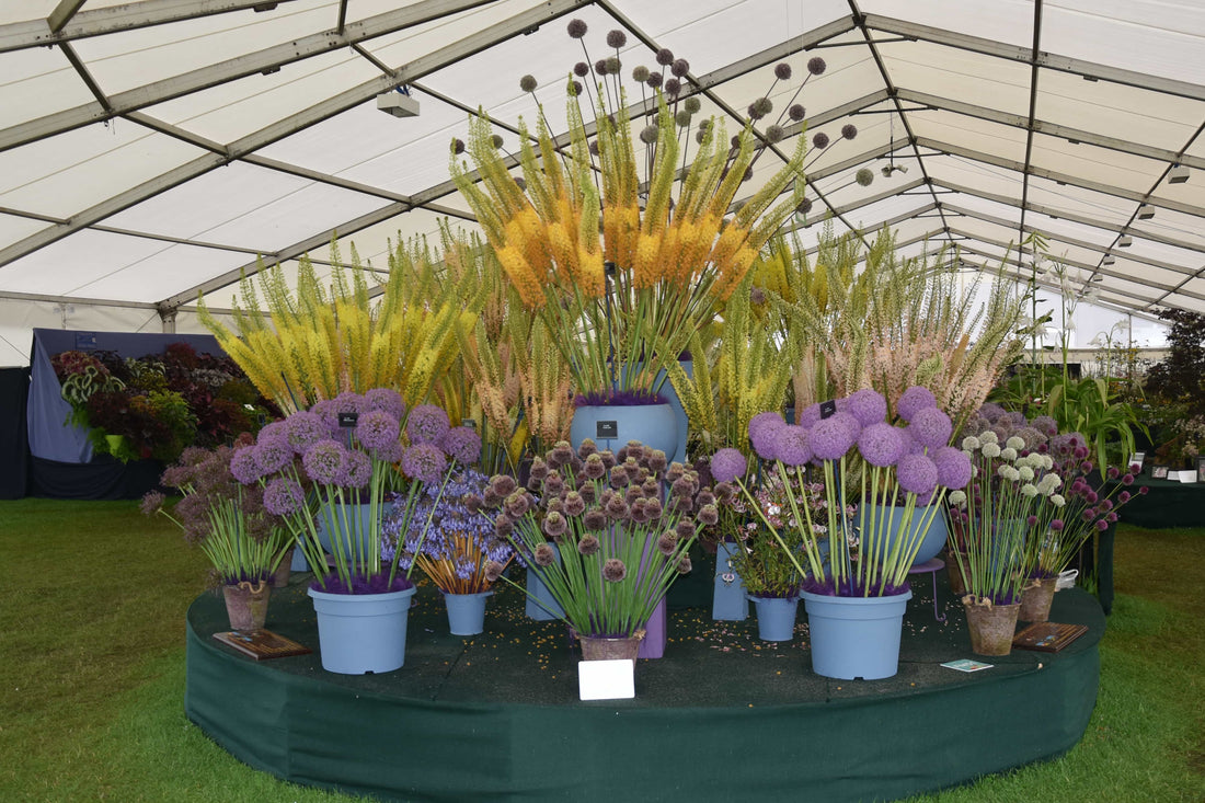 Tatton Park