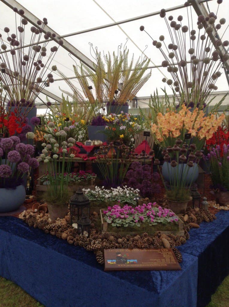 Shrewsbury Flower Show