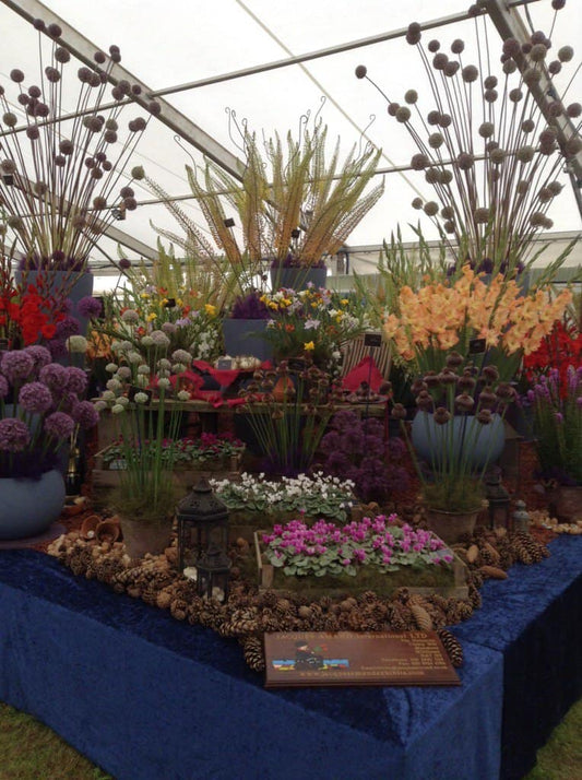 Shrewsbury Flower Show