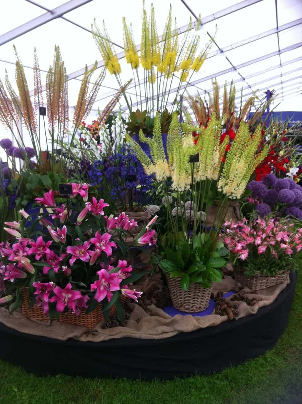 Southport Flower Show