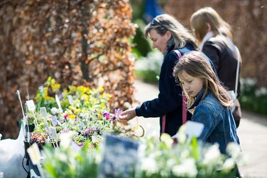 Spring Plant Fair Wisley